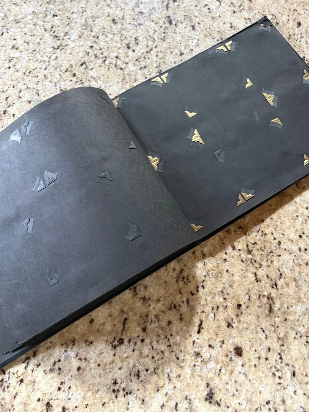 Black Photograph Album - Embossed Horse on Cover 1940’s vintage